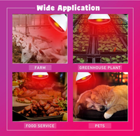 Lampe chauffante infrarouge épaissie 100W/150W/200W/250W pour l'élevage de poulets, porcs et animaux