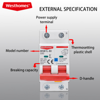 Disjoncteur différentiel électronique avec protection contre les surcharges et les fuites à la terre, modèle WSB1L-80, fournisseur chinois