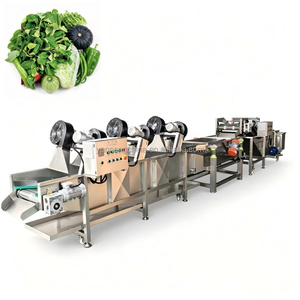 Machine de nettoyage de légumes à système de lavage à bulles, équipement automatique de traitement des fruits pour ligne de production alimentaire - Offre Spéciale - Product Image 1