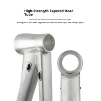 Cadre mat léger personnalisable de vélo de montagne d'alliage d'aluminium de finition 27.5/29 pouces concurrentiels