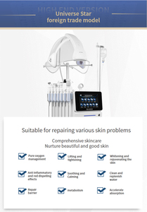 Máquina Facial de Oxígeno 11 en 1, Dispositivo de Rejuvenecimiento de la Piel, Equipo Portátil para Uso en Salón y en Casa - Product Image 4