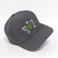 Casquette de baseball personnalisée avec logo brodé 3D, gris, séchage rapide, trous découpés au laser, sports de plein air, 5 panneaux, casquettes de golf pour hommes