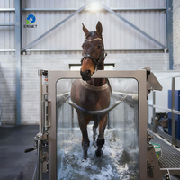 EUR VET Nouveau design Équipement vétérinaire Entraînement équestre Récupération Hydrothérapie équine Systèmes de tapis roulant pour chevaux
