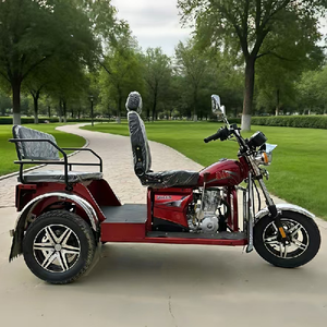 New Powered Right Three-Wheeled Motorcycle Sidecar Automatic Clutch Leisure Gasoline 2 Passengers - Product Image 5