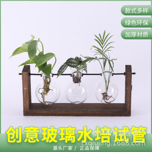 Retro Glass Hydroponic Vase With Wooden Stand Wall Mounted Plant Decor For Indoor Greenery - Product Image 5