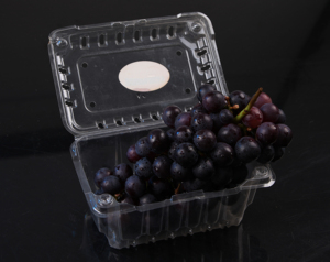 Çin plastik bardak termoform makinesi plastik bardak büyük termoform vakum makinesi - Product Image 4