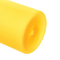 Bouteille d'eau en plastique sans BPA, design anti-fuite, à paroi simple, transparente, pour le sport, type carton de lait