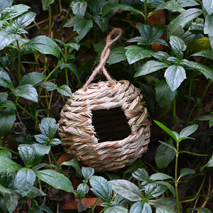 Nid d'oiseau rond tissé à la main en herbe, finition naturelle, suspendu, pour jardin extérieur, taille moyenne, pour oiseaux - Product Image 2
