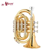 AileenMusic Trung Gian Brasswind BB Key Vàng Cơ Thể Bỏ Túi Trumpet (HTP-M400G-SYY)
