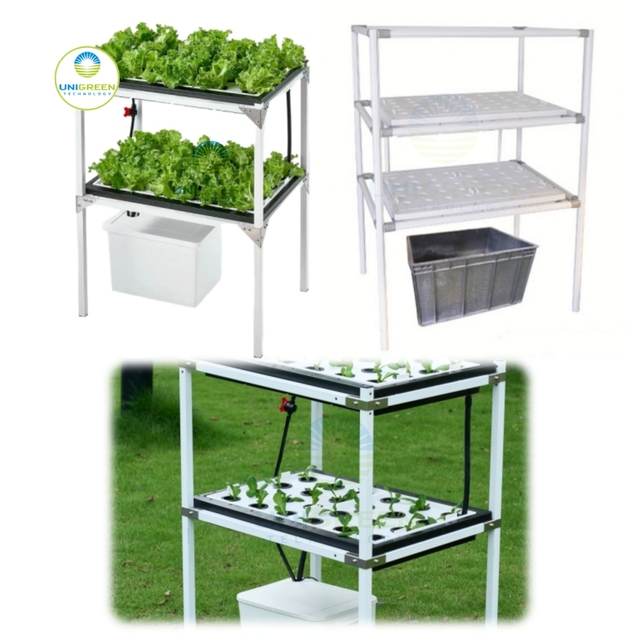 Indoor Vertical DWC 48 Holes Small Hydroponic 2 Layer Tray Lid Grow Rack With Lights Full Lettuce Kit for Garden Beginner System