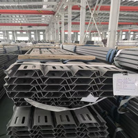 Système de montage au sol Euro Solar, profil en acier solaire ZM, revêtement Zn-Al-Mg, support de panneau photovoltaïque pour zone à fort vent