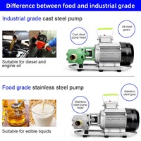 Pompe à huile électrique portable en acier inoxydable WCB 110V 220V de qualité alimentaire pour le transfert d'huile végétale lubrifiante