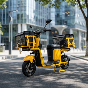 Bicicleta Eléctrica de Carga 2026 al por Mayor, 1000W, Freno de Disco, Moto Eléctrica, Bici Eléctrica, Fábrica China - Product Image 6