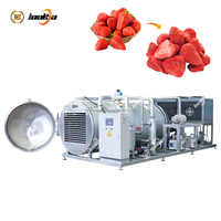 Hoge Efficiëntie Automatische Gesneden Fruit Vacuüm Vriesdrogen Lijn Automatische Wassen & Lyofilisator Voor Banaan/Aardbei