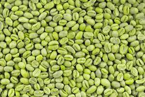 Grains de café Robusta vert non torréfiés de qualité supérieure, vente en gros, directement de l'usine, goût intense, haute teneur en caféine, stock disponible - Product Image 5
