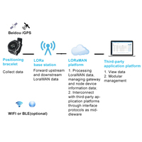 Bracelet de prison lora montre intelligente Lorawan positionnement bracelet fabricants vente directe pour les personnes âgées anti-perte tracker usine