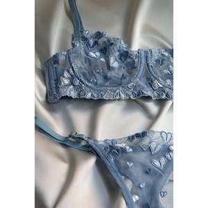 Conjunto de sujetador para mujer con detalles florales azules, push-up, transparente, transpirable, talla XL, decoración bordada de alta calidad, suministro ODM - Product Image 1