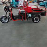 Vente en gros Tricycle électrique cargo 650W Vélo électrique grande puissance Tricycle électrique à 3 roues pour adultes