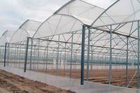 Filet Anti-Insectes en Plastique de Maille 50 pour Serres Agricoles, Utilisation en Ferme et Protection des Serres
