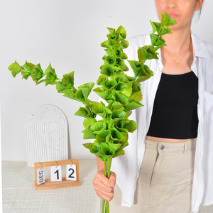 Fleurs artificielles en forme de cloche Flower Delight, 30cm-190cm, en plastique PVC EVA, style naturel, fleurs en vase, branche, feuillage, décoration - Product Image 3