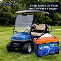 Paket Baterai Lithium LiFePO4 12V 100AH dengan Pemanas Suhu Rendah Bluetooth M8 untuk Kereta Golf Mini di Iklim Dingin dengan Output Daya Stabil