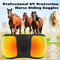 Eye Protection Horse Blinder Racing Goggles Pet Sunglass Horse Goggle for Equestrians Sports