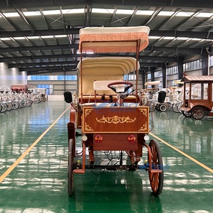 Charrette de mariage victorienne, calèche de Cendrillon pour le tourisme, chariots de chevaux électriques pour visites touristiques, capacité de 6 personnes, 60 - Product Image 2