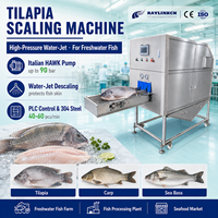 Desescamadora Automática de Tilapia Mojarra, SUS304, Chorro de Agua, para Huachinango Róbalo Pargo Carpa, Planta Procesadora