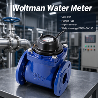 Meter Air Woltman Lepas Pasang DN50-DN150 Tipe Flens Besi Cor untuk Air Dingin dengan Output Pulsa Kabel ISO4064 OEM Dapat Disesuaikan