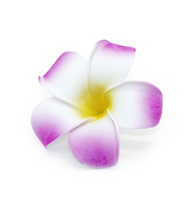 फैंसी हेलोलीन नृत्य कपड़े टीवी और फिल्म छोटी लड़कियों महासागर रोमांस एडवेंचर वैयाना कॉस्प्ले पोशाक और हार के साथ पोशाक पोशाक - Product Image 6