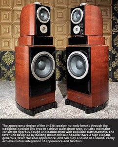 Loa HIFI cao cấp KYYSLB 12 inch, dành cho rạp hát gia đình, khu biệt thự, tích hợp amply karaoke, chất lượng âm thanh cao cấp - Product Image 2