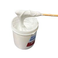 Kit de Silicona Líquida Translúcida para Hacer Moldes, No Tóxica, Proporción de Mezcla 1:1, Goma para Manualidades y Modelos