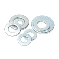 DIN9021 Big Plain Galvanized Washer 304 Stainless Steel Large Flat Washer