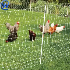 Nylon lưới nhựa hàng rào Net PP lưới chống Bird Net Ya 20x20mm trong suốt PP gà Net