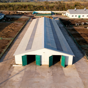 Stalla per Bestiame a Struttura in Acciaio a Montaggio Rapido per l'Ingrassamento del Bestiame Bovino, Stalla Prefabbricata Economica Anti-Corrosione - Product Image 6