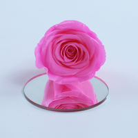 Vente d'usine : Roses éternelles au toucher réel, 5-6 cm, fleurs préservées en boîtes pour la Fête des Mères, la remise des diplômes et Noël