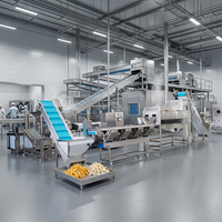 Ligne de production de frites à petite échelle pour les startups, usine de fabrication de frites de haute qualité avec support après-vente