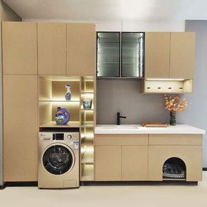 Gabinete de balcón de acero inoxidable de gama alta Sunrise, gabinete de <span class=keywords><strong>lavadora</strong></span>, balcón, <span class=keywords><strong>lavabo</strong></span>, Gabinete integrado - Product Image 4