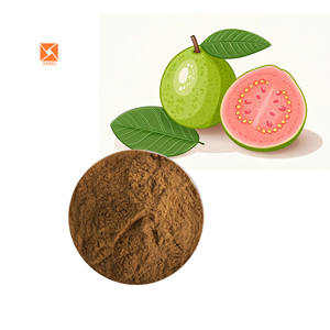 ผงสารสกัดจากใบฝรั่ง <span class=keywords><strong>psidium</strong></span> 10:1ที่ละลายน้ำได้ - Product Image 1