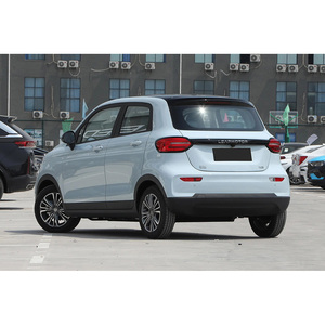 Auto Usata 2024 in Vendita Leapmotor T03 310km CLTC EV Hatchback Compatta 55kW 114Nm Batteria 31.9kWh Basso Consumo Ricarica Facile Auto Urbana - Product Image 6