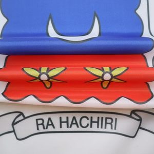 Drapeau de Mayotte 3' x 5' pour un mât - Drapeaux de la région française de Mayotte <span class=keywords><strong>90</strong></span> x 150 cm - Bannière 3x5 pieds avec trou - Product Image 3