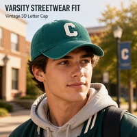 Casquettes de baseball ajustables personnalisables 2025 – Casquette de golf 100 % coton avec broderie en tissu, fermeture arrière réglable, toutes saisons