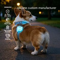 Tag ID Anjing LED Silikon Custom, Tag Nama Hewan Peliharaan Terukir Pribadi yang Menyala, Tag Kalung Anak Anjing Tahan Air Bercahaya untuk Keamanan di Malam Hari
