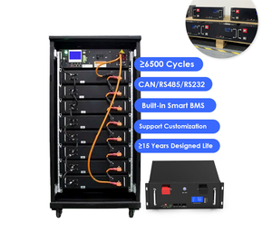 Batterie rechargeable au lithium 16S1P 3.2V 48V 100Ah 200Ah 300Ah pour véhicules électriques/voitures de golf avec RS485 intégré, batteries LFP rechargeables - Product Image 5