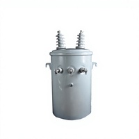 Transformateur de distribution monophasé immergé dans l'huile CHHP 100 KVA, autotransformateur toroïdal, montage sur poteau, modèle D9 34.5