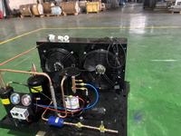 Unité de condensation autonome refroidie par air avec compresseur Copeland Scroll, moteur économe en énergie, garantie 1 an, usine de fabrication
