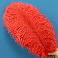 Plumes d'Autruche 40-45 cm En Gros, Colorées Blanches, Grandes Plumes pour Robes de Soirée et de Mariage, Décoration de Chapeau