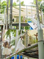 Grande structure de jeu en filet arc-en-ciel pour l'extérieur, parc d'aventure pour enfants personnalisé, filet en corde