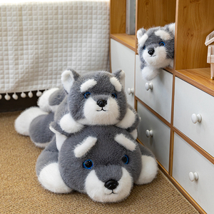 Juguetes de peluche de animales de peluche al por mayor y más vendidos, lindos juguetes para perros y muñecas de tela para regalos de niñas - Product Image 1