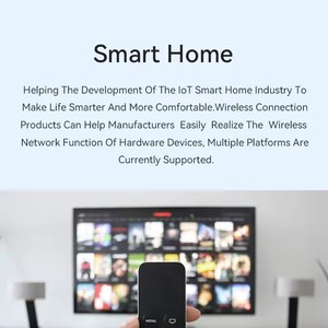 EBYTE E101-32WN4-XS-IE Universal <strong>WiFi</strong> <strong>Module</strong> 2.4GHz IEEE802.11b/g/n Dual-core 32-bit LX6 Microprocessor 400m <strong>UART</strong> I/O <strong>Interface</strong> - Product Image 4